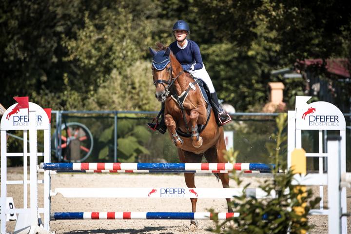 Gesponserte Reiterin aus dem Team von Janina Sanwald Fotografie beim Stilspringen in Heuchlingen – professionelle Turnierfotografie und Pferdefotografie von Janina Sanwald Fotografie in Baden-Württemberg