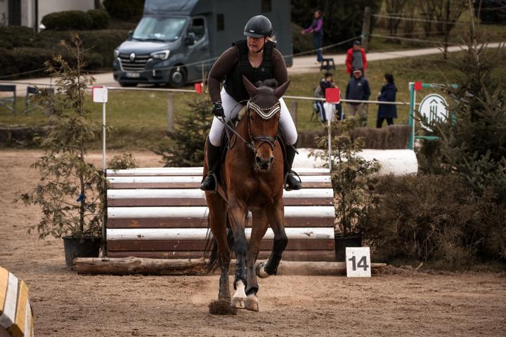Reiterin aus dem Team von Janina Sanwald Fotografie im Geländeritt bei der Vielseitigkeit in Altensteig-Trögelsbach – professionelle Turnierfotografie und Pferdefotografie von Janina Sanwald Fotografie , Fotograf für Reitsport, Hochzeiten und Tiere in Baden-Württemberg
