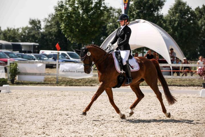 Gesponserte Reiterin aus dem Team von Janina Sanwald Fotografie in der Dressurprüfung Klasse L auf Kandare beim Turnier des RV Langenau – professionelle Turnierfotografie und Pferdefotografie in Baden-Württemberg